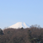 140-fuyufuji2